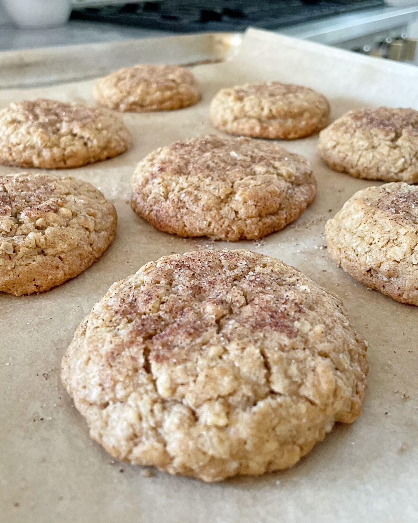 Classic Oatmeal Cookie Mix